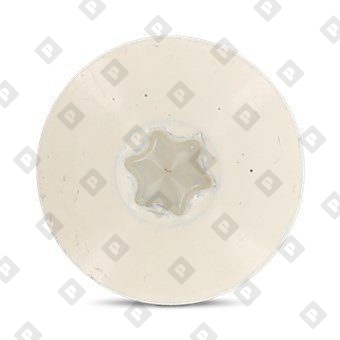 Art. 9086 A2 4,8X32 TX20  RAL 1013 - №3