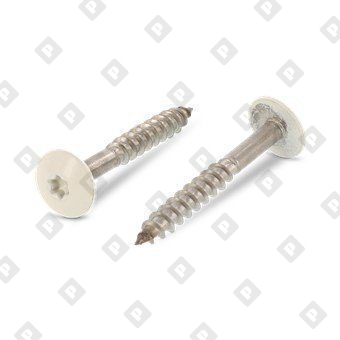 Art. 9086 A2 4,8X32 TX20  RAL 1013 - №1