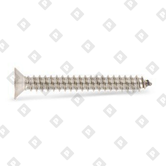 ISO 14586 A2 C 3,9X50 TX15 - №2