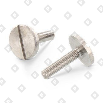 DIN 921 AISI 303 M 8X10 - №1