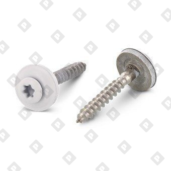 Art. 9087 A2 4,5X120 TX20 - RAL 9010 - №1