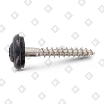 Art. 9087 A2 4,5X100 TX20 - RAL 7016 - №2