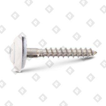 Art. 9087 A2 4,5X100 TX20 - RAL 9010 - №2